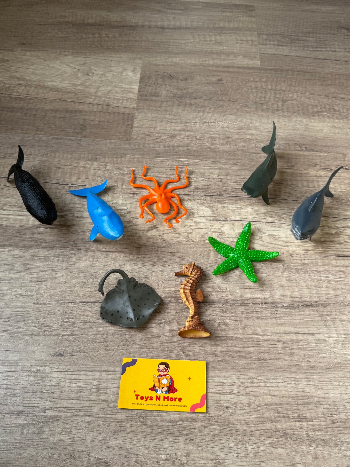 3D Marine Life Discovery Figure🌊🐢