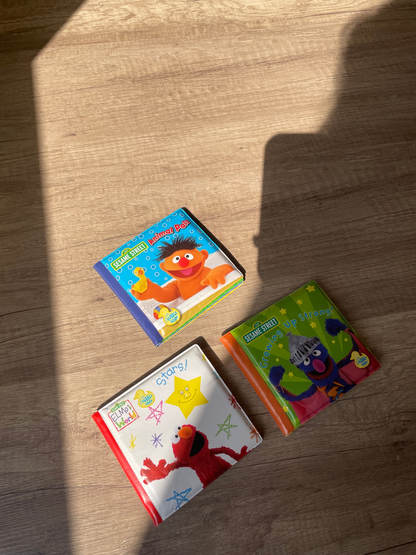 🫧 Sesame Street Mini Bath Book (Waterproof & Washable) 📚