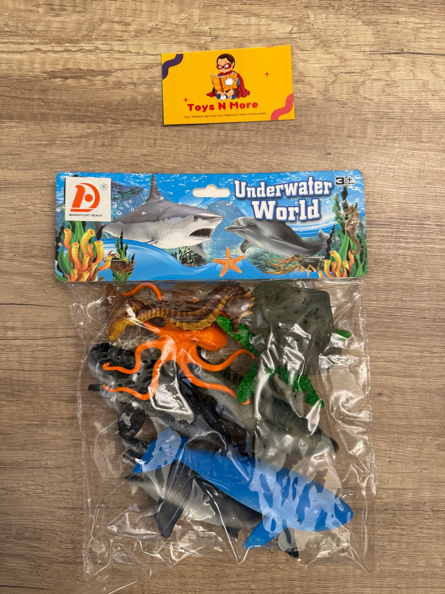3D Marine Life Discovery Figure🌊🐢