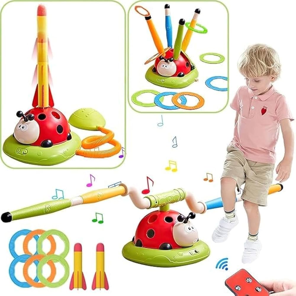 Ladybug Toy