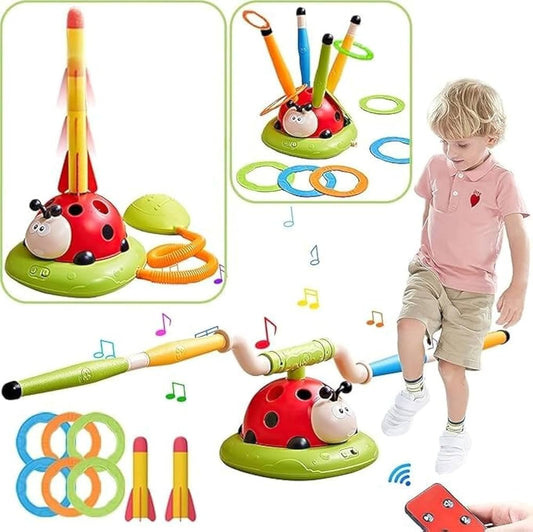 Ladybug Toy
