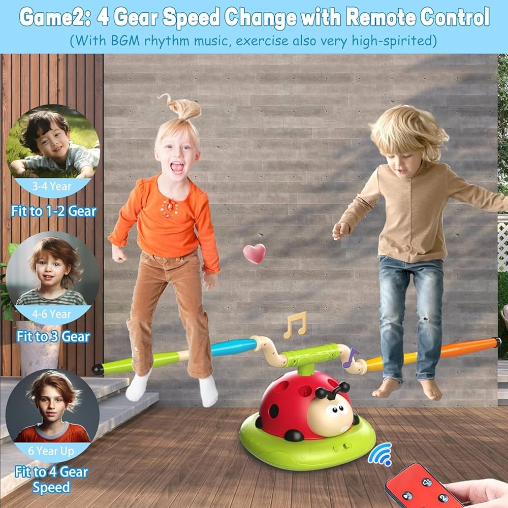 Ladybug Toy