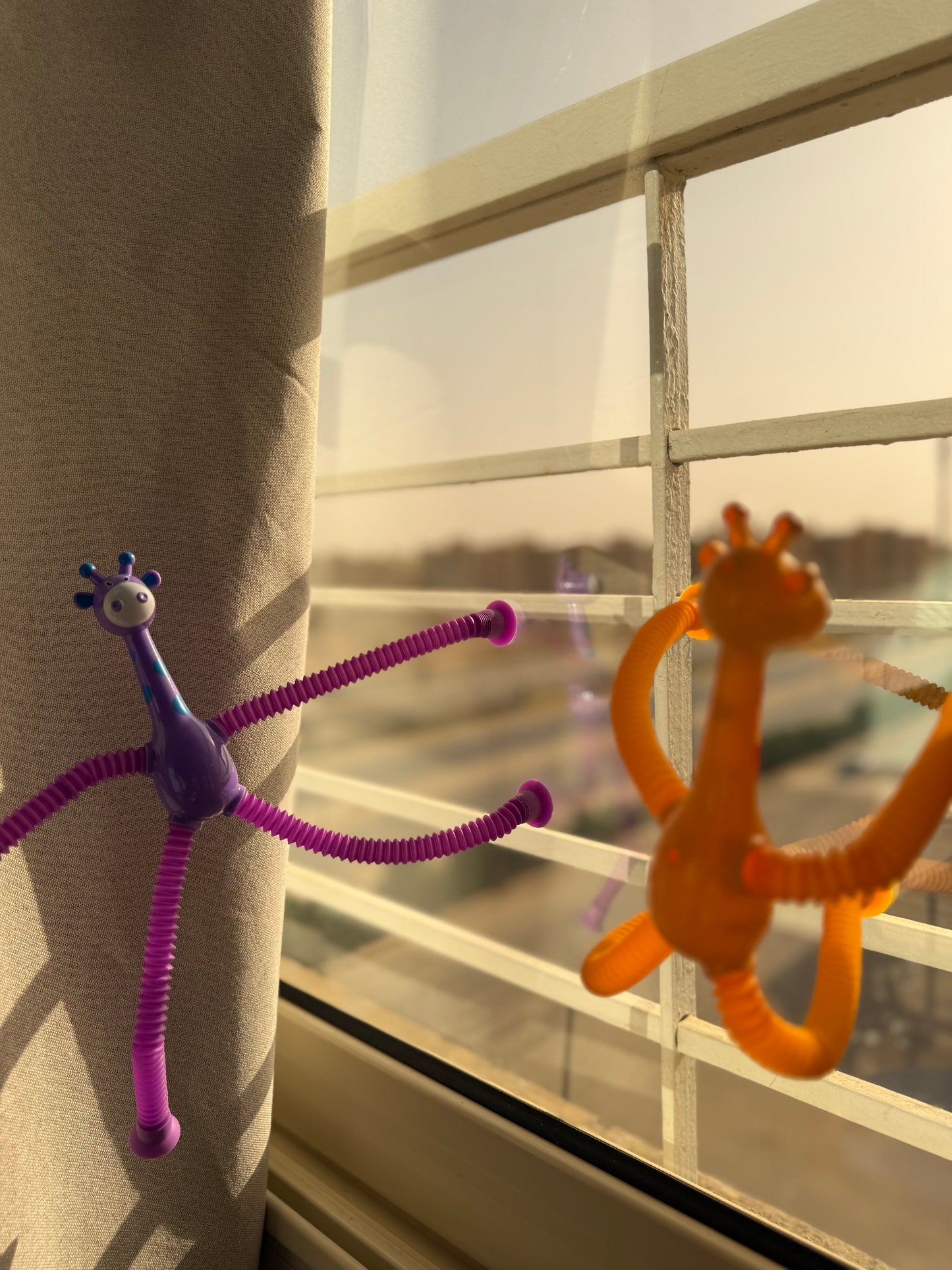 🦒 Giraffe Sensory Pop Tubes with Suction Cup
